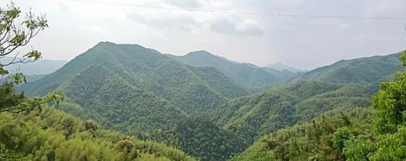 风水师傅透露：老人过世安葬在这些风水附近，